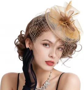 Fascinators Hats for Women Flower Mesh Ribbons Feathers on a Headband and a Clip Tea Party Headwear for Women